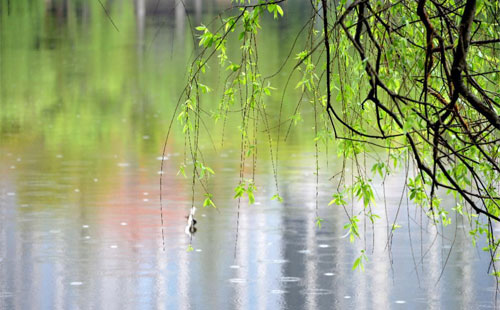 【致興立群】雨天溫馨提示